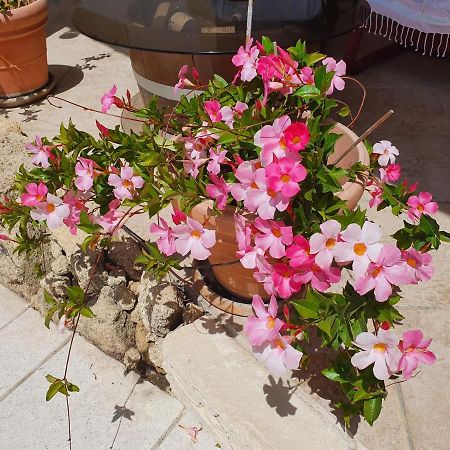 Fenetre Sur Les Alpilles Bed & Breakfast Saint-Martin-de-Crau Dış mekan fotoğraf
