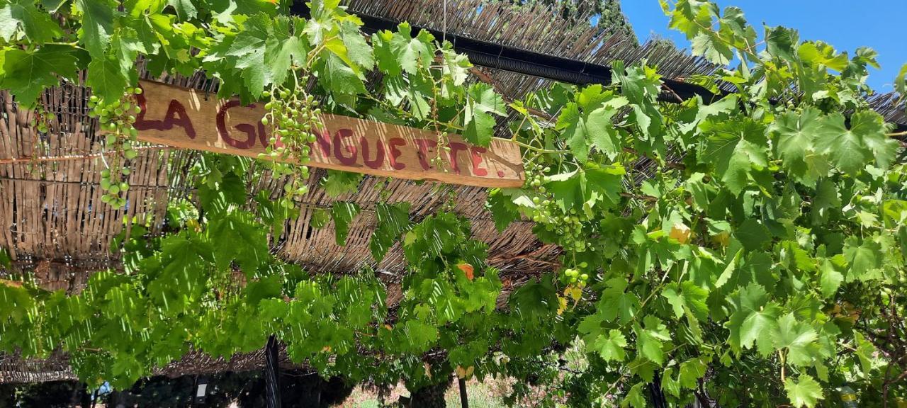 Fenetre Sur Les Alpilles Bed & Breakfast Saint-Martin-de-Crau Dış mekan fotoğraf