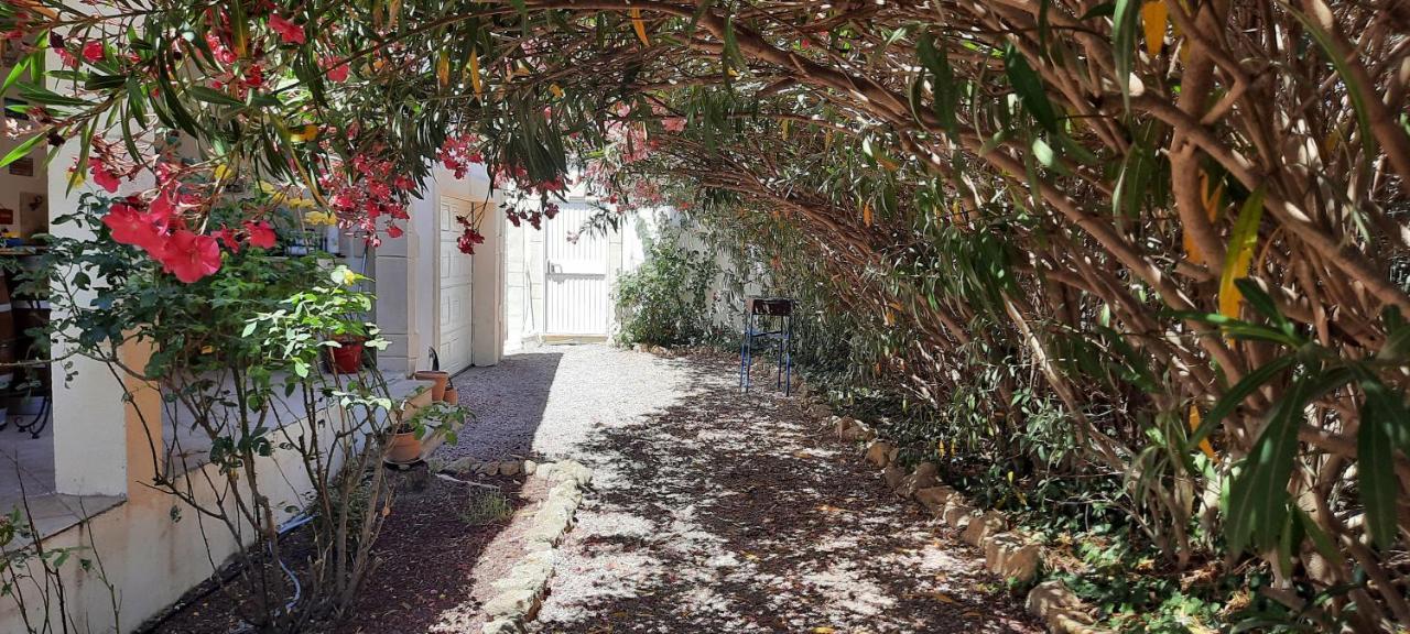 Fenetre Sur Les Alpilles Bed & Breakfast Saint-Martin-de-Crau Dış mekan fotoğraf