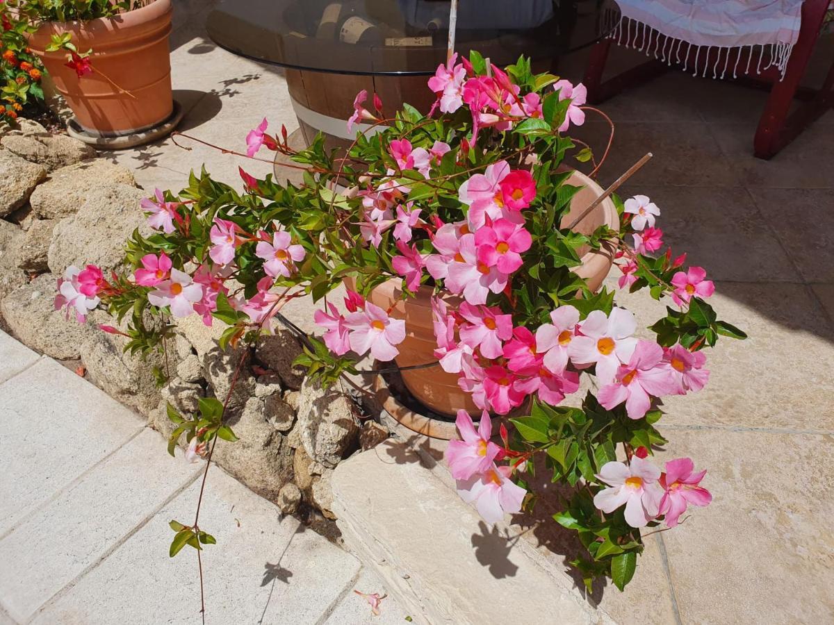 Fenetre Sur Les Alpilles Bed & Breakfast Saint-Martin-de-Crau Dış mekan fotoğraf