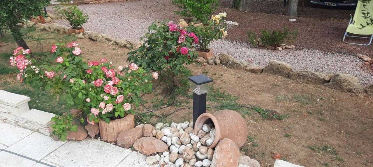 Fenetre Sur Les Alpilles Bed & Breakfast Saint-Martin-de-Crau Dış mekan fotoğraf
